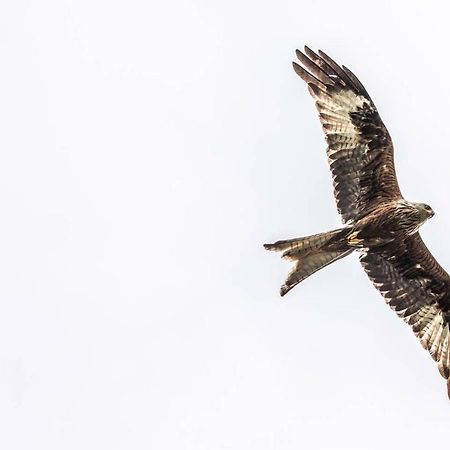 Ffyllon Fawr Villa Henfynyw Upper Bagian luar foto