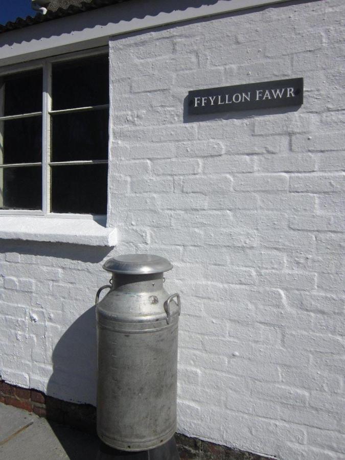 Ffyllon Fawr Villa Henfynyw Upper Bagian luar foto