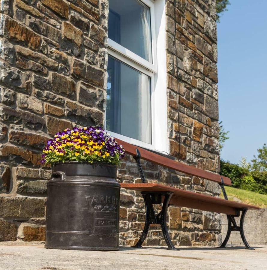 Ffyllon Fawr Villa Henfynyw Upper Bagian luar foto