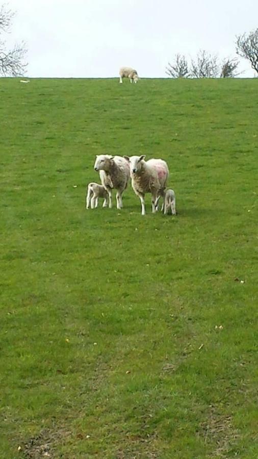 Ffyllon Fawr Villa Henfynyw Upper Bagian luar foto